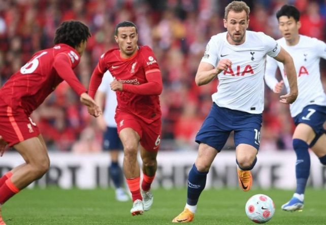 玫瑰的优雅 玫瑰的优雅